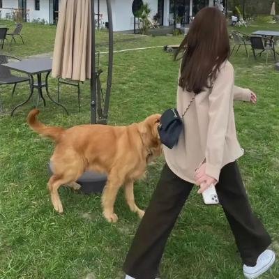 新上海滩
